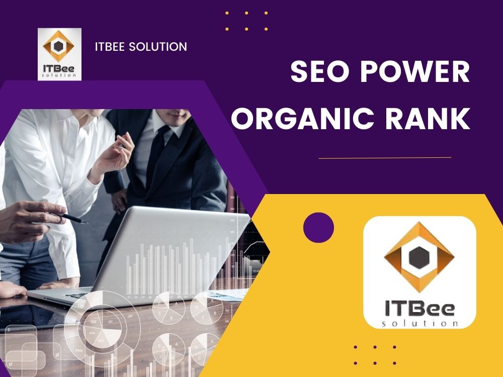 SEO Power Organic Rank can drive business success with powerful SEO. ITBee Solution Philadelphia nearby Digital Marketing for support